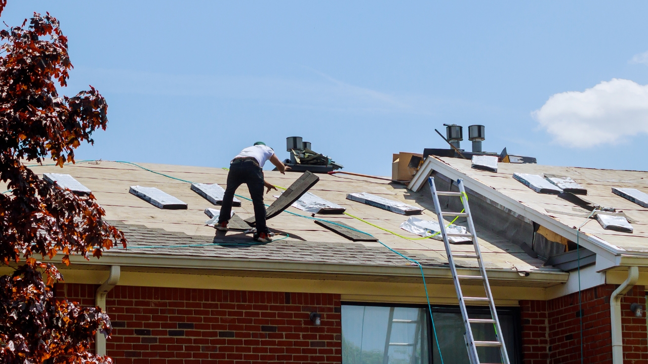 Shingle Replacement vs. Full Roof Repair